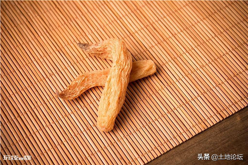 亩效益过万的一年生药材(农村一年种一年收的药材有哪些)-图片1